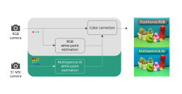 True Colors through Multispectral Imaging AWB